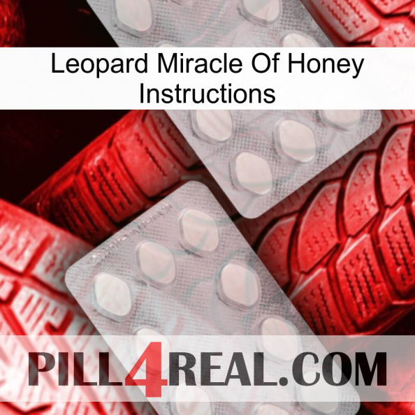 Leopard Miracle Of Honey Instructions 17.jpg